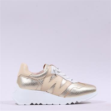 Wonders Kyoto Wedge Bungee Lace Trainer - Gold